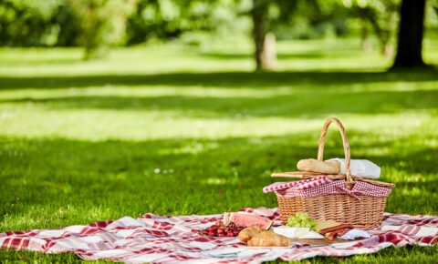 Picnic
