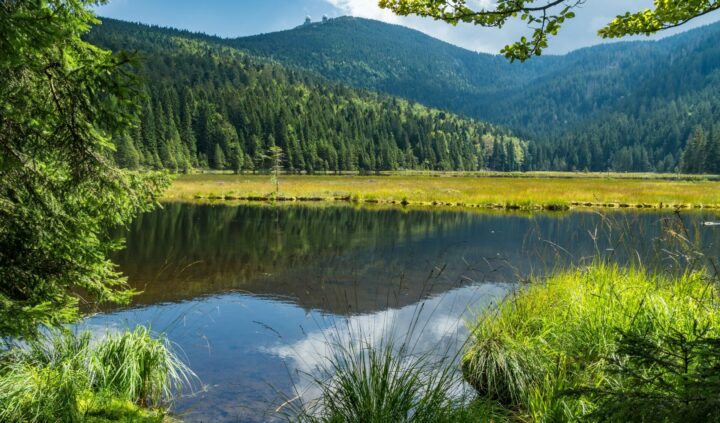 Small Lake Arber